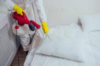 247 Bed Bug Control Canberra image 2